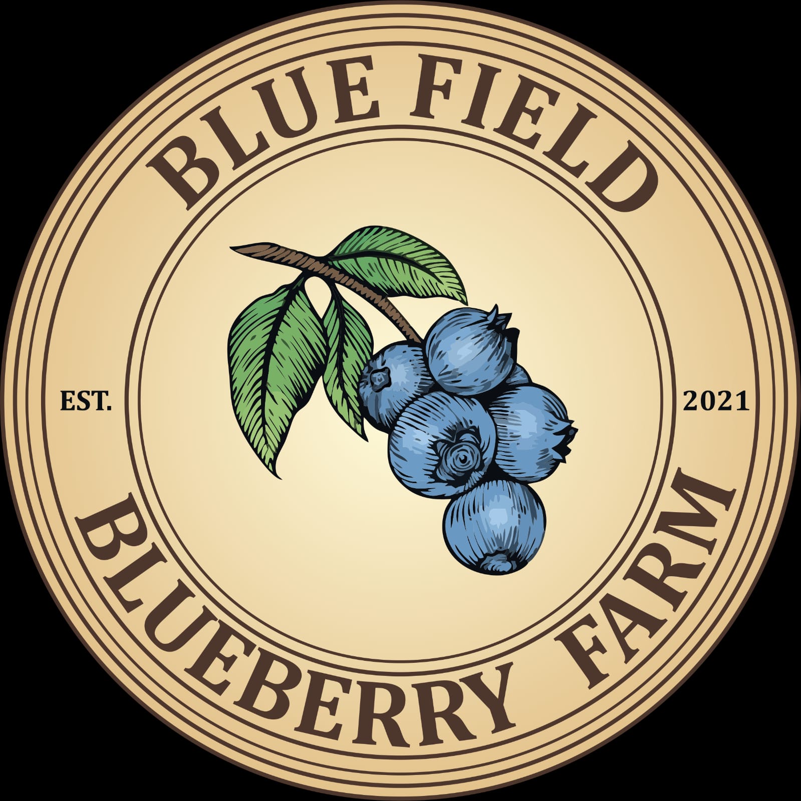 Bluefield LLC