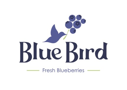 BlueBird Berries