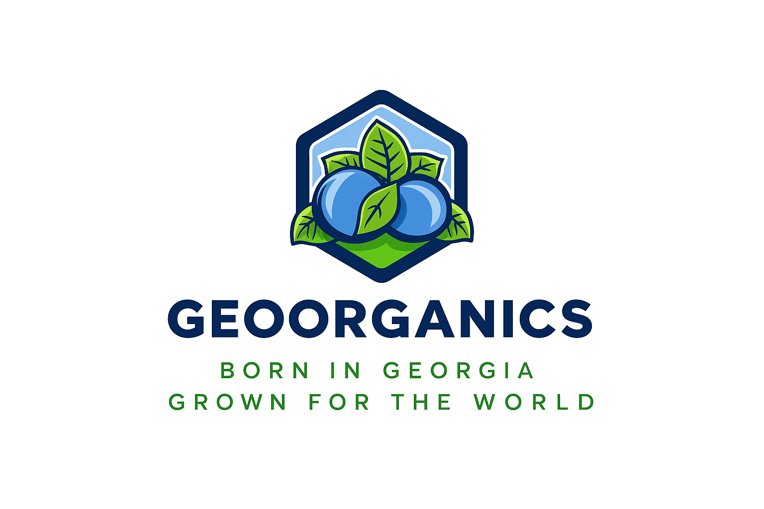 GEOORGANICS